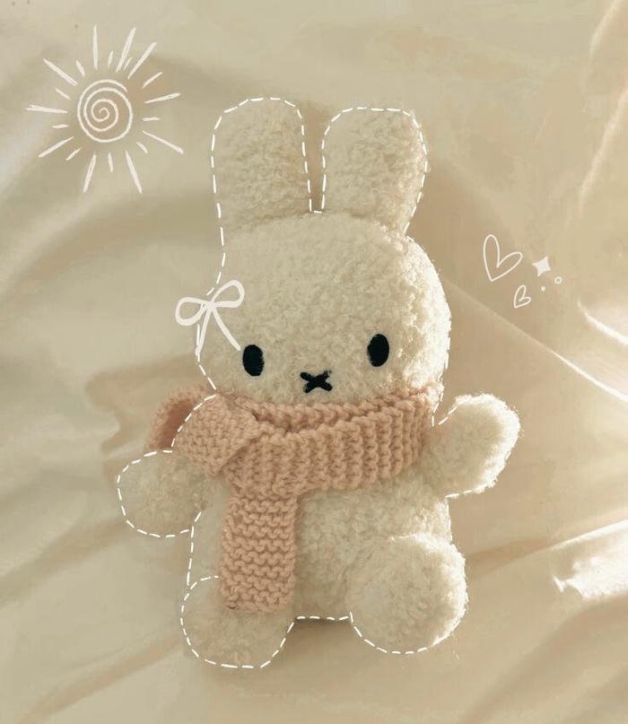 dutch cartoon miffy aesthetic pfp icon