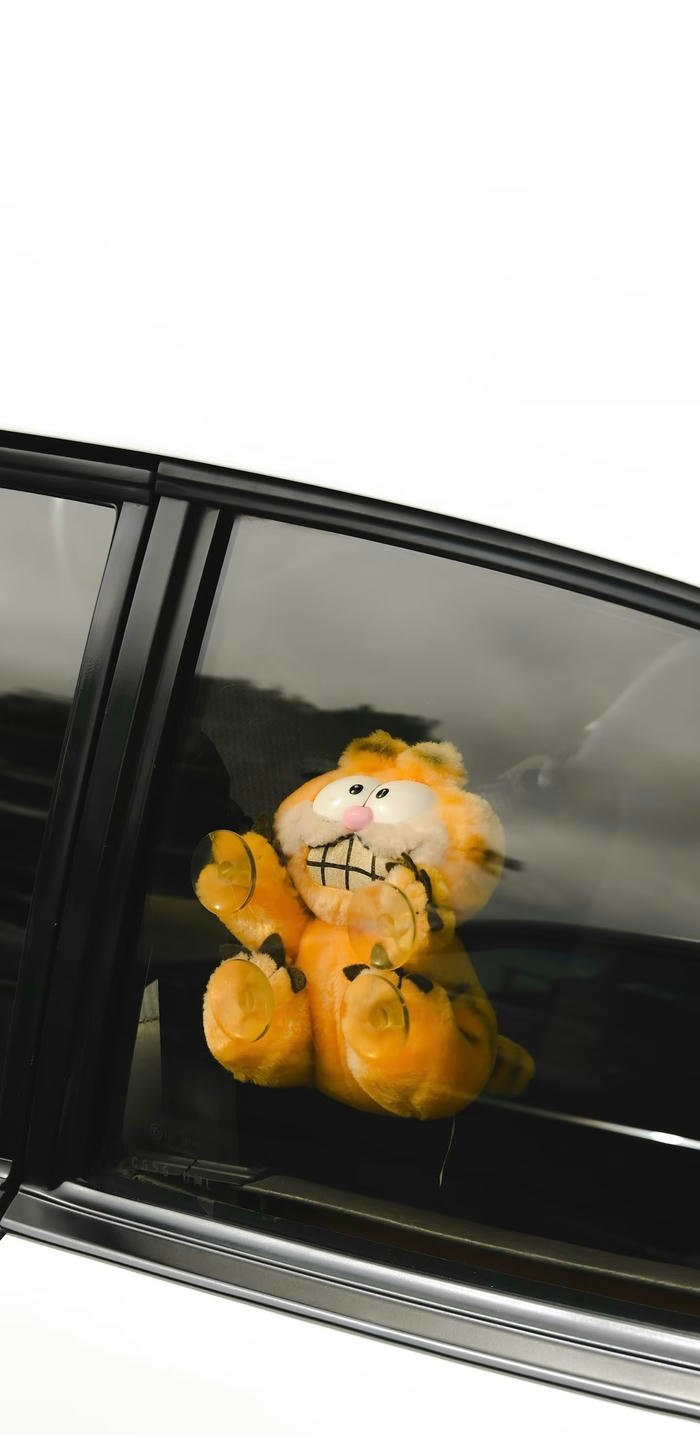 expressive pfp aesthetic wallpaper visual design