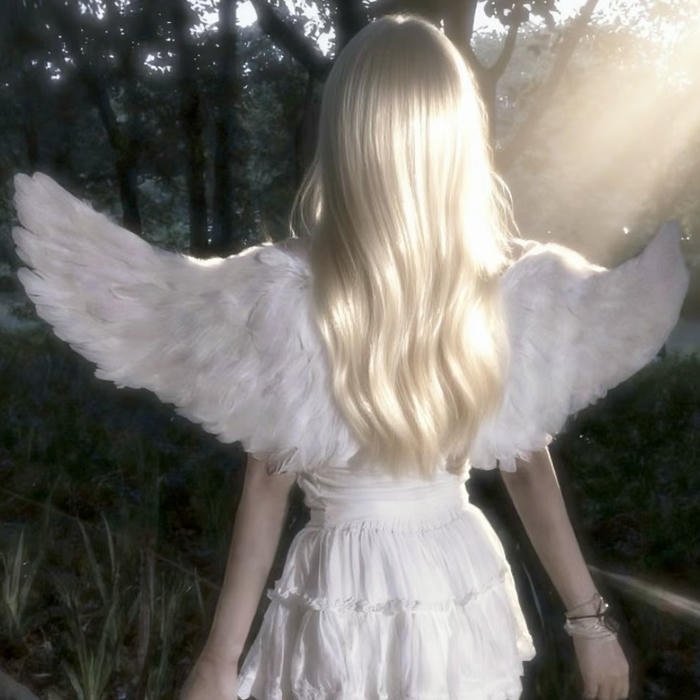 feather light serenity angel aesthetic pfp