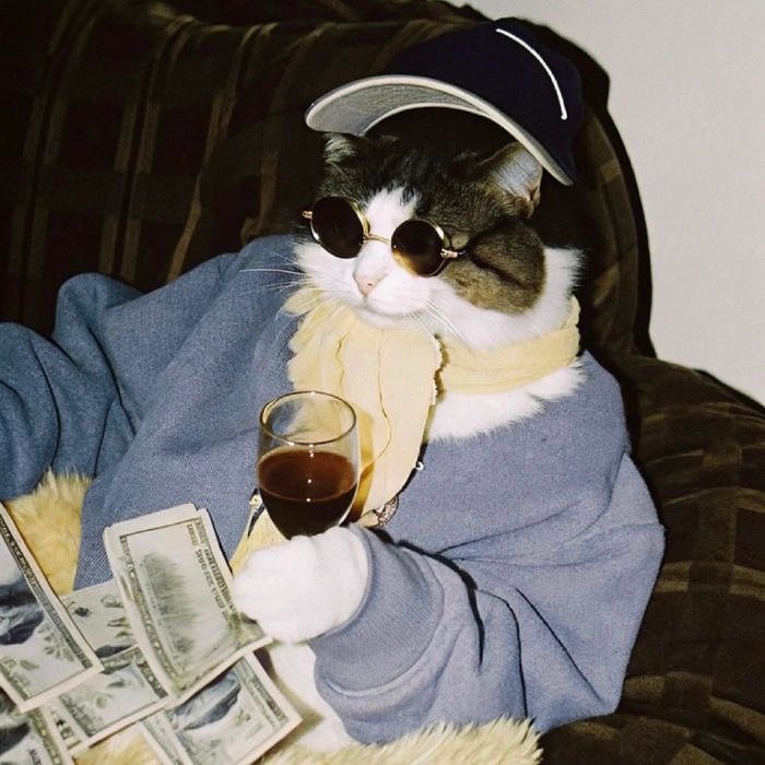 high end money themed aesthetic pfp
