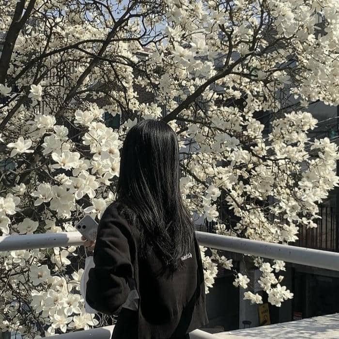 korean aesthetic pfp soft minimal look