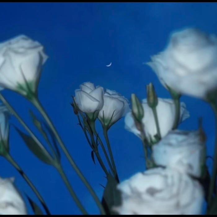 landscape scene evoking quiet contemplation