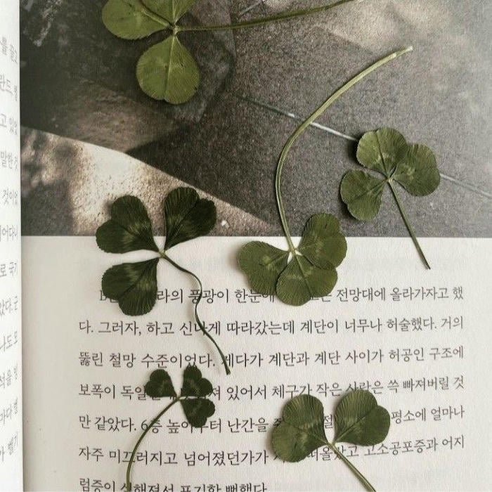 minimal korean pfp aesthetic soft vibe