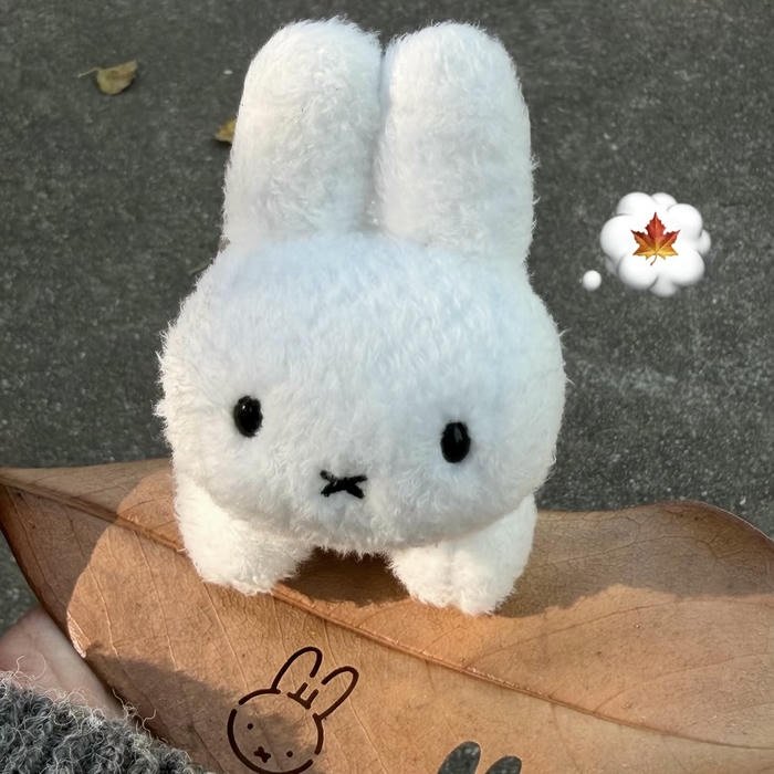 minimalist dutch bunny miffy aesthetic pfp