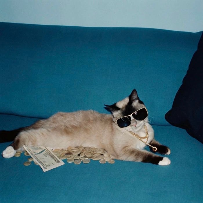 modern money aesthetic pfp visual balance