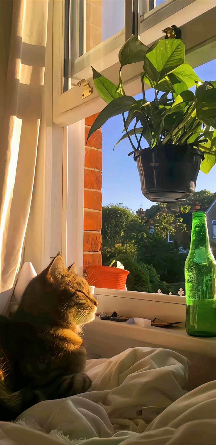 modern pfp aesthetic wallpaper creative layout