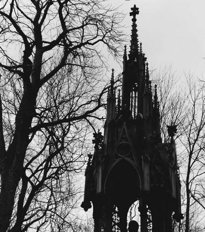 mysterious aesthetic black pfp for moody themes