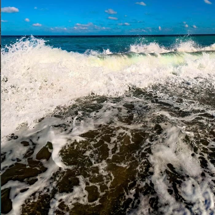 ocean scenery focus designed for profile avatar