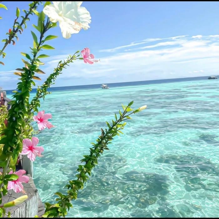 ocean surface pattern forming aesthetic profile look