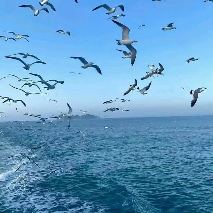 ocean texture abstraction used for profile design