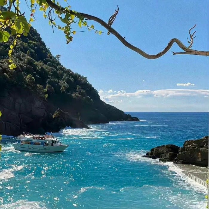 ocean visual framing adapted for profile avatar