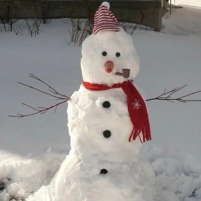 peaceful winter aesthetic pfp in frosty atmosphere