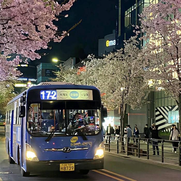 pfp korean aesthetic calm minimal look