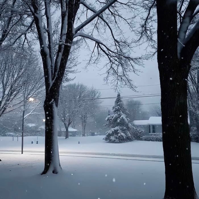 pfp winter aesthetic showing calm frosty vibes