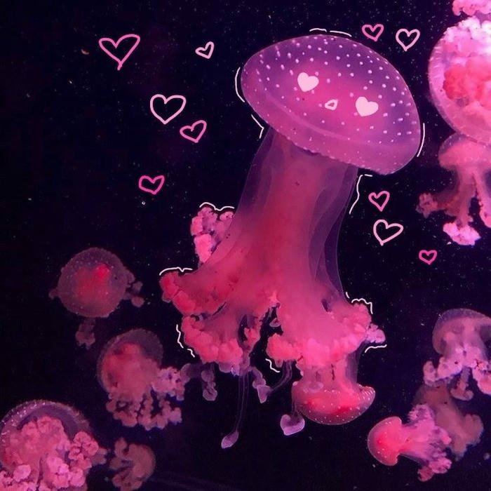serene water glow aesthetic pfp jellyfish