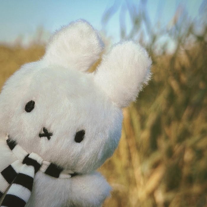 simple black line miffy aesthetic pfp