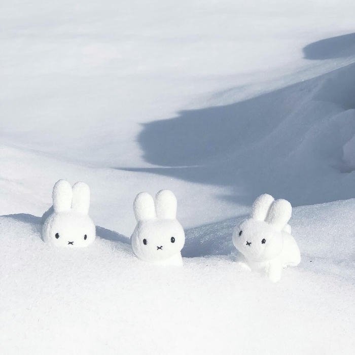 simple friendly character miffy aesthetic pfp