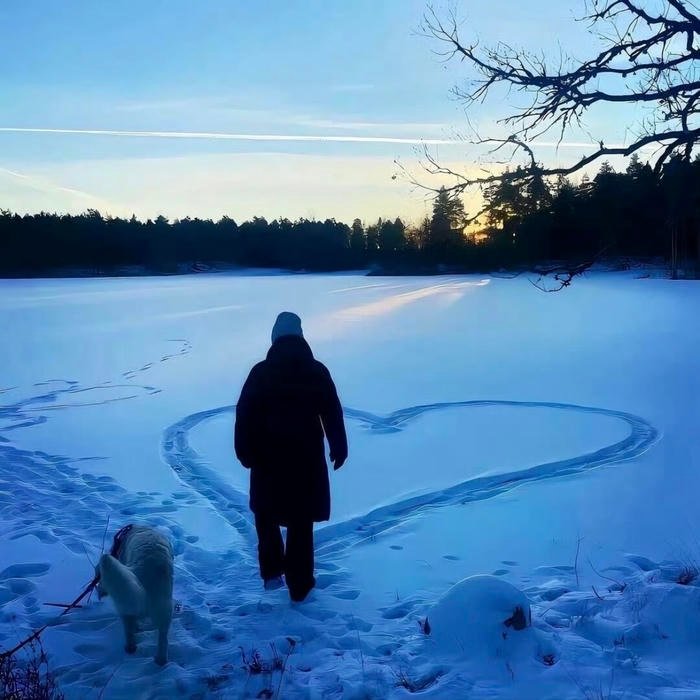 snowy theme winter aesthetic pfp for calm vibes