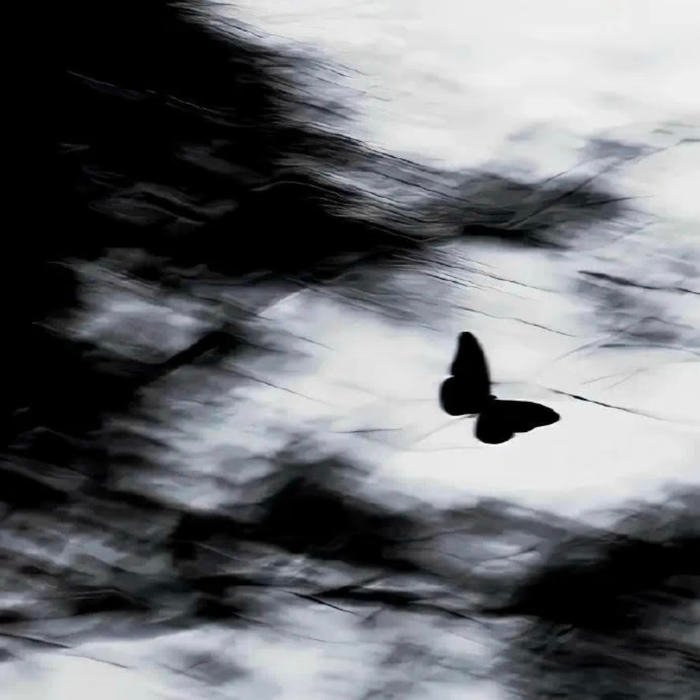 soft aesthetic black pfp for profile icons