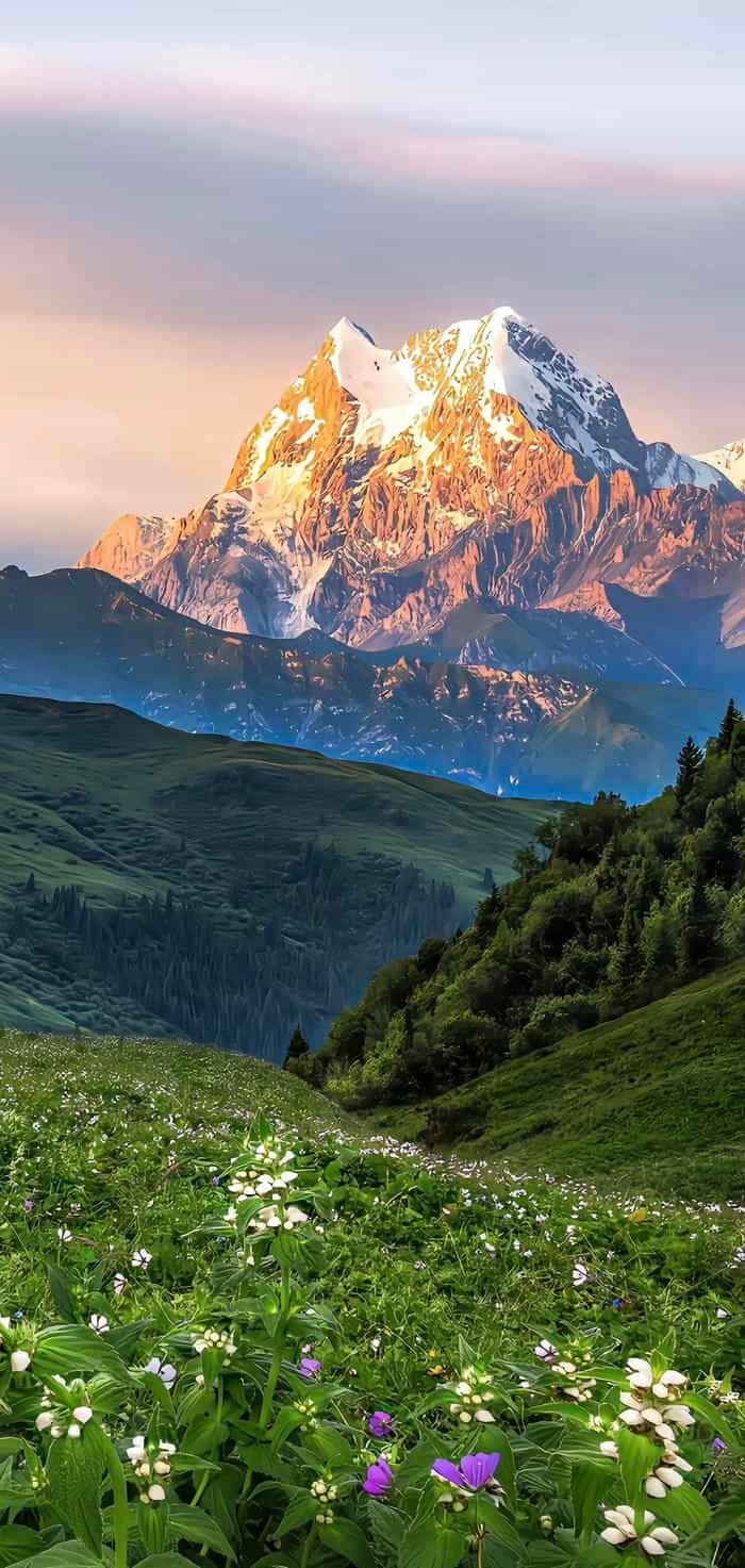 soft focus pfp aesthetic wallpaper portrait