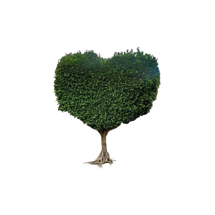 soft heart centerpiece aesthetic avatar theme