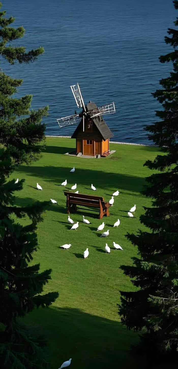 trendy pfp aesthetic wallpaper digital art