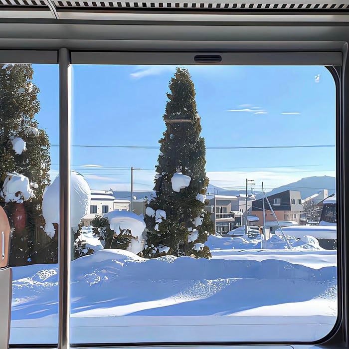 winter aesthetic pfp capturing cold serene beauty