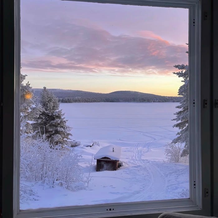 winter aesthetic pfp inspired by frozen silence