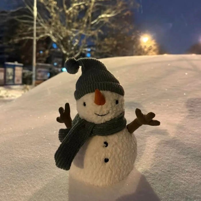 winter aesthetic pfp showing minimalist winter beauty