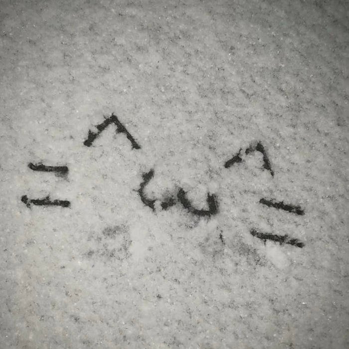 winter aesthetic pfp showing silent snowy vibes