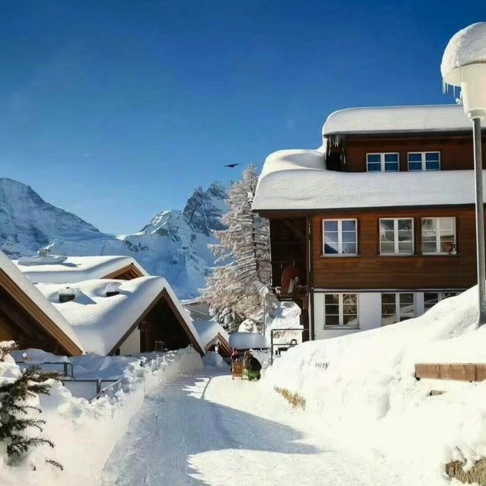 winter aesthetic pfp with clean and airy look