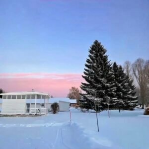 winter sky tones shaping aesthetic pfp layout