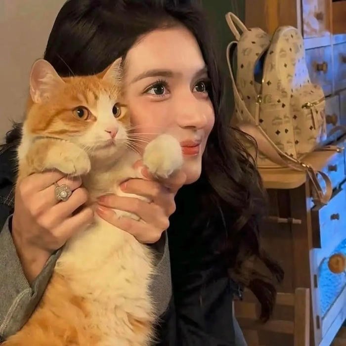 A profile image idea based on aesthetic pfp normal