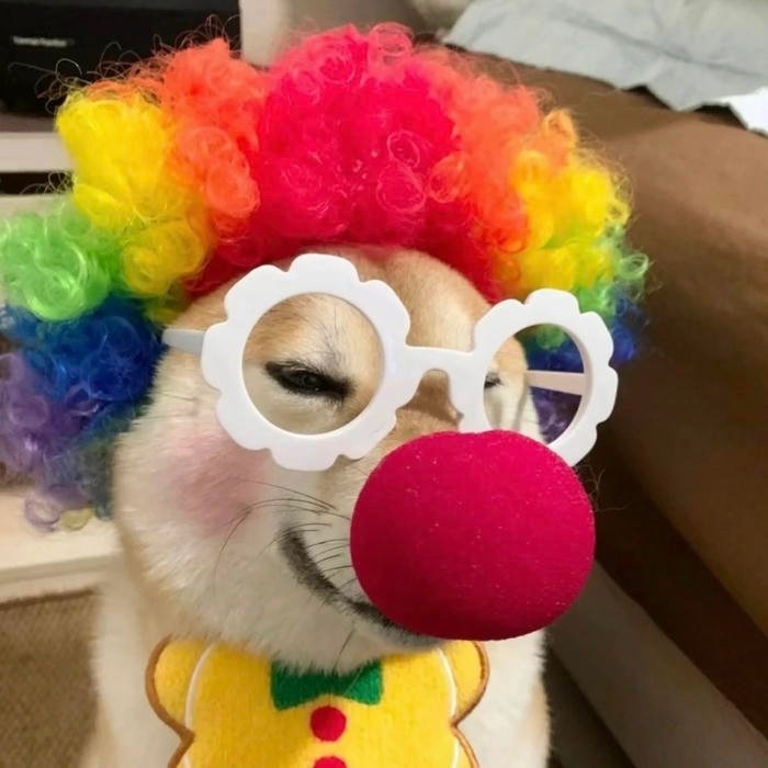 A recognizable online look known as funny aesthetic pfp