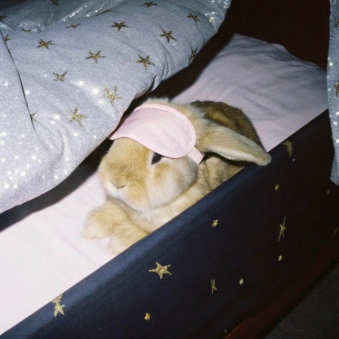 A regular profile appearance defined as aesthetic pfp normal