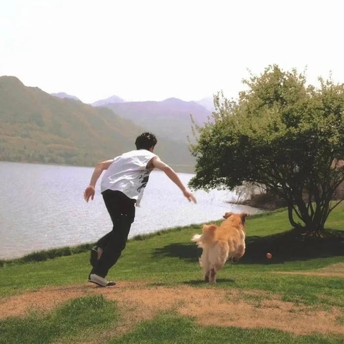 Aesthetic pfp themed avatar for social media identity