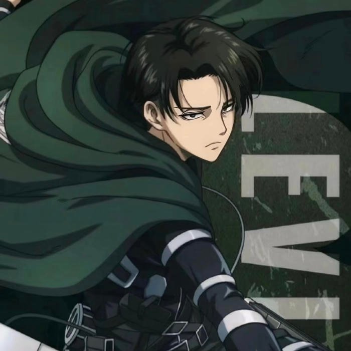 Anime pfp aot capturing soldier hardened mindset