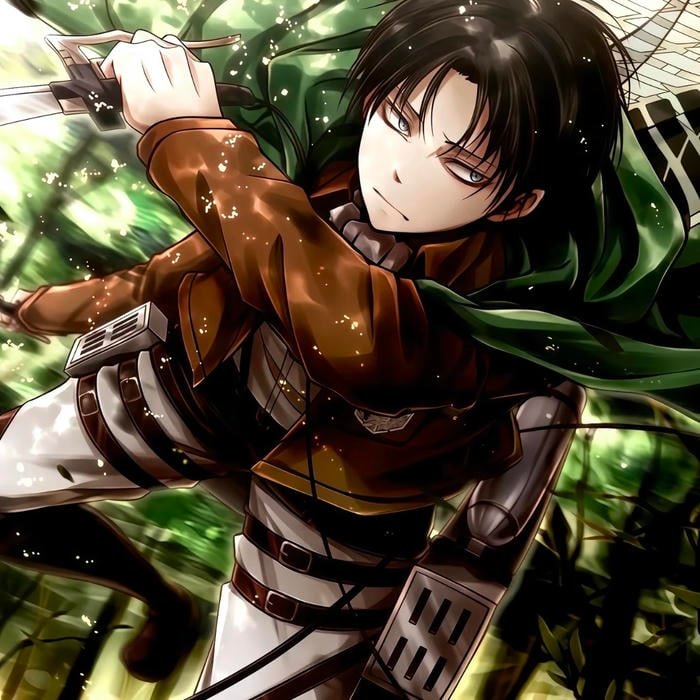 Anime pfp aot inspired by wall defender legacy