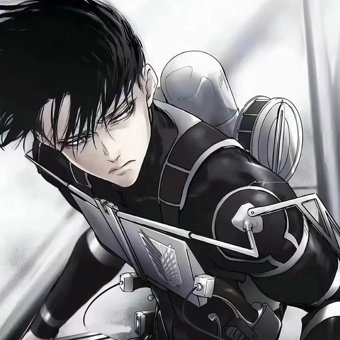 Anime pfp aot reflecting post battle character growth