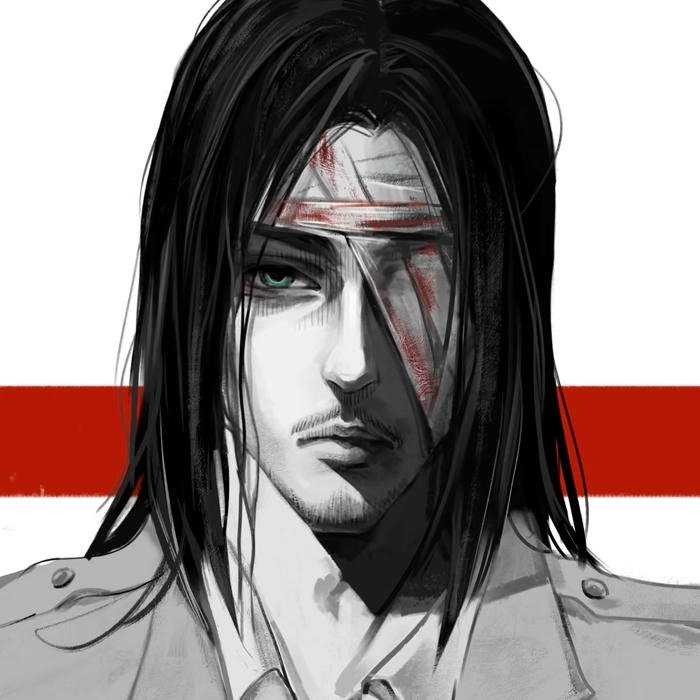 Anime pfp aot symbolizing freedom seeking character