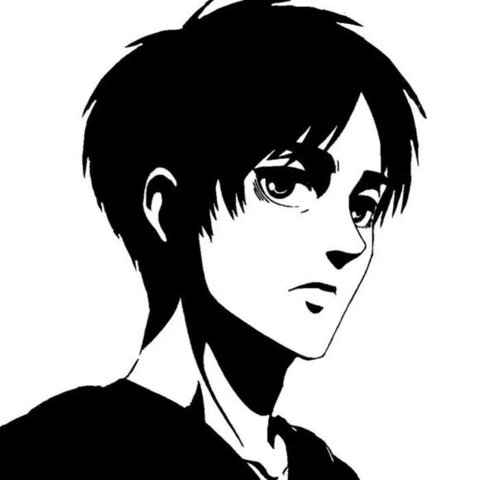 Attack on Titan inspired anime pfp aot mood