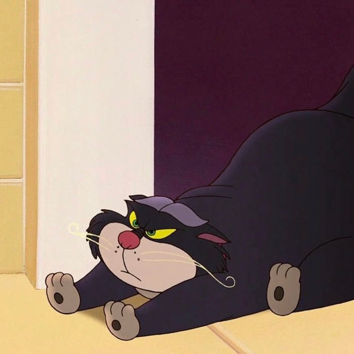 Cartoon style cat pfp for users