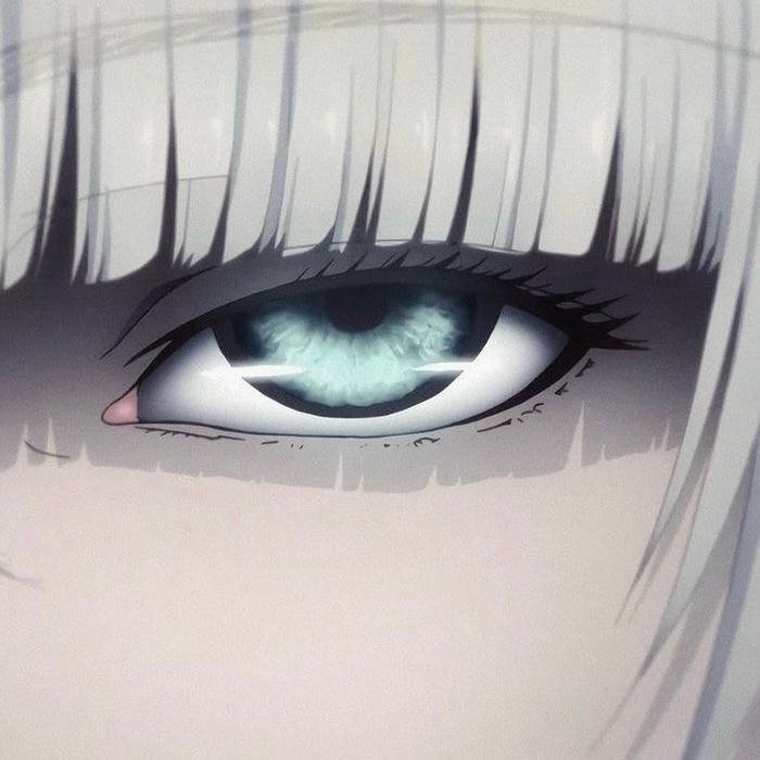 Character focus represented only by eyes anime eye pfp