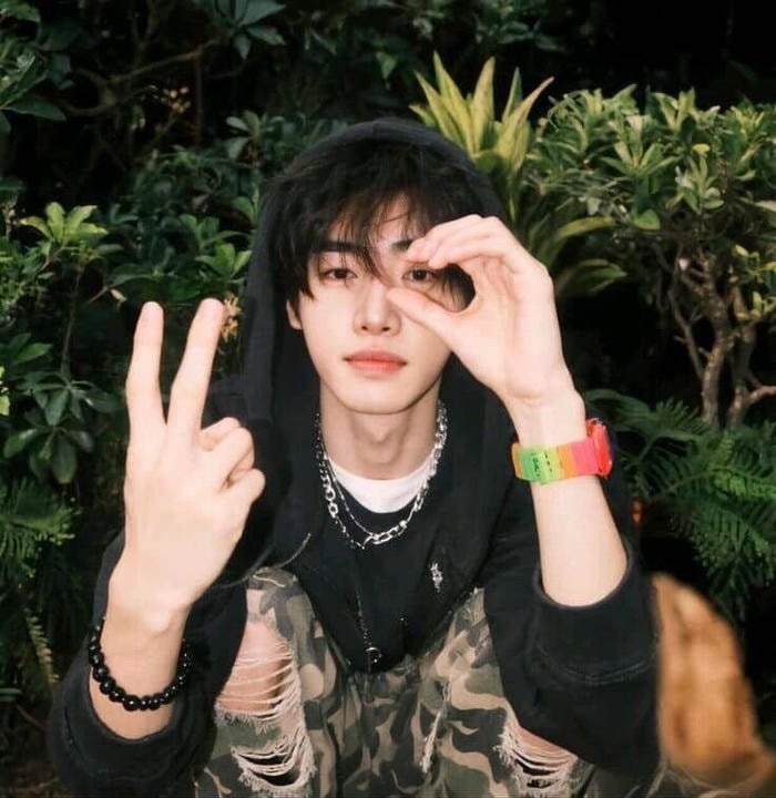 Fans adopt kpop aesthetic pfp for social platforms