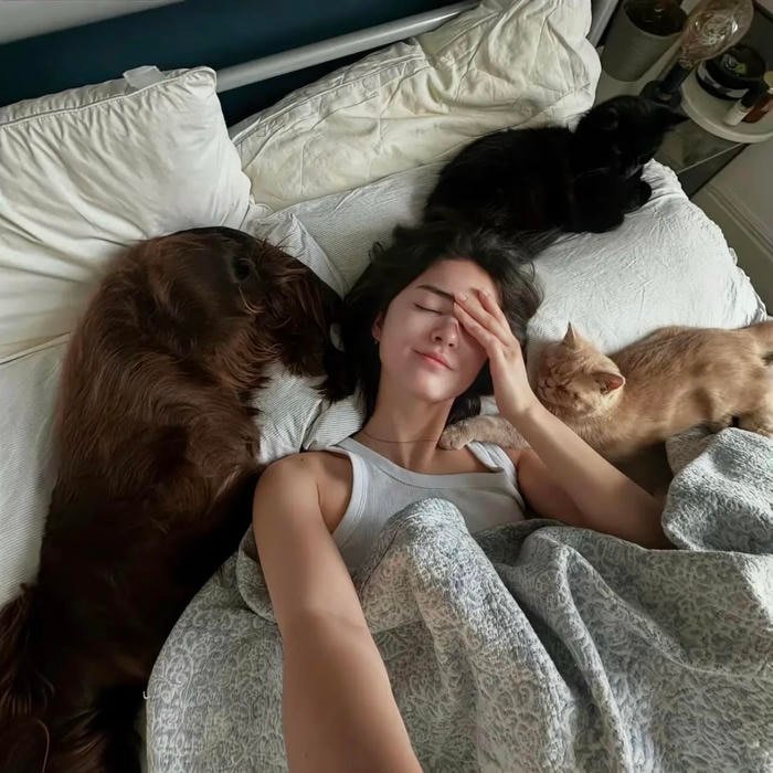 Many accounts prefer the aesthetic pfp normal look