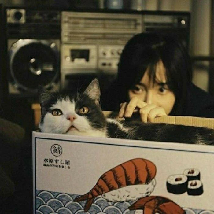 Many users prefer funny aesthetic pfp for fun pages