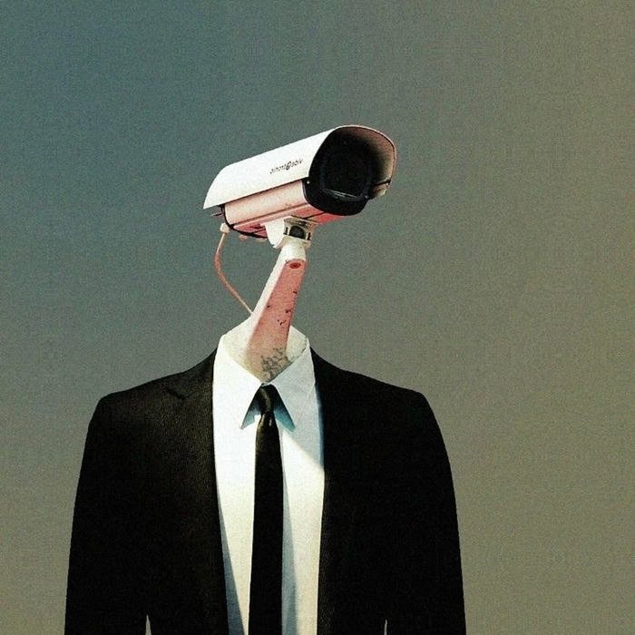 Profile identity formed around aesthetic pfp normal