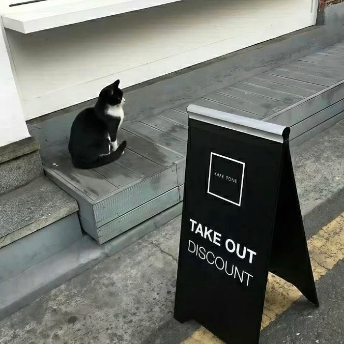 Profile photo emphasizing mood driven aesthetics pfp