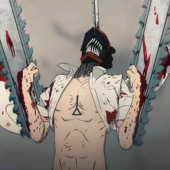 Strong individual meaning within anime pfp chainsaw man
