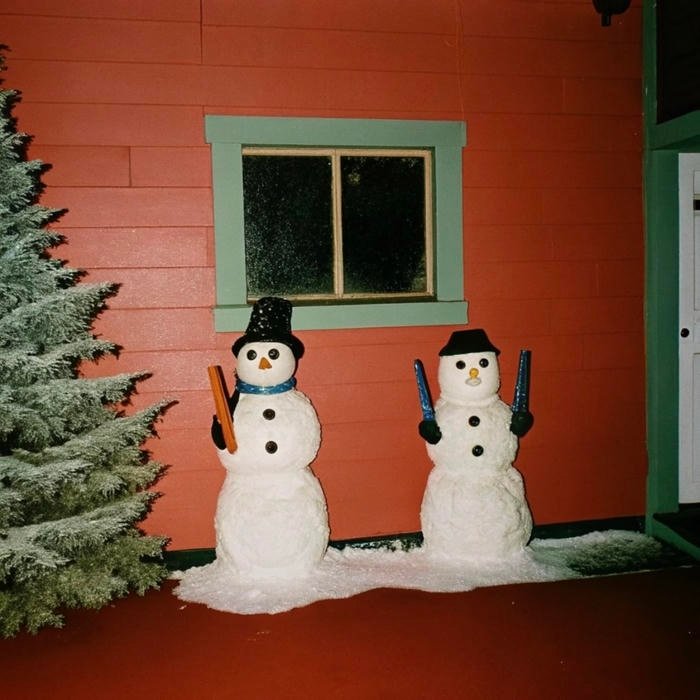 This image represents the aesthetic pfp normal style